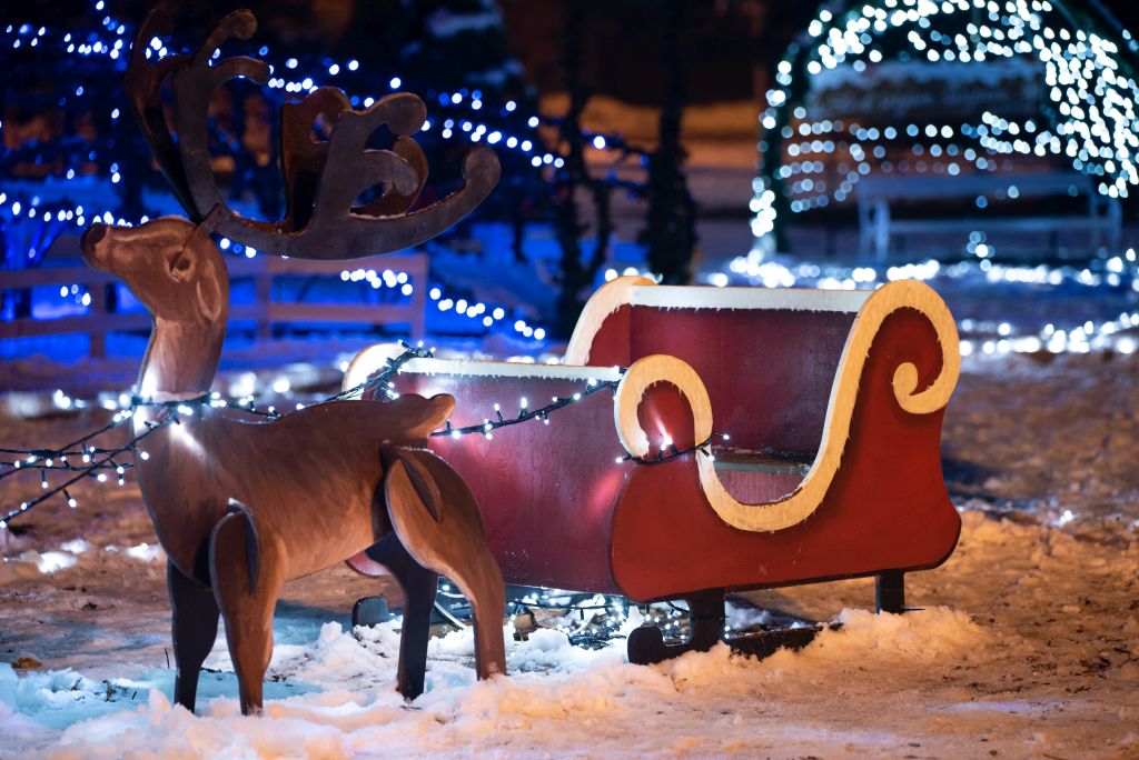 trbovlje_lucke_2021 (73).jpg